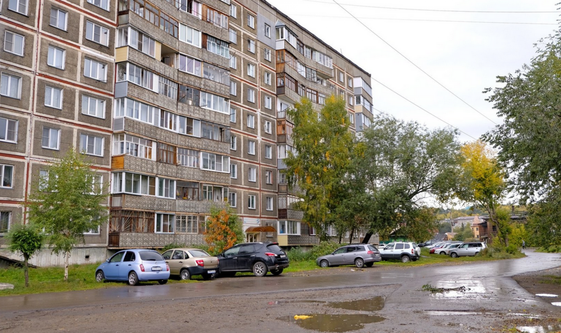 Бийский эколог Сергей Белоконь: Мы пробили очередное дно