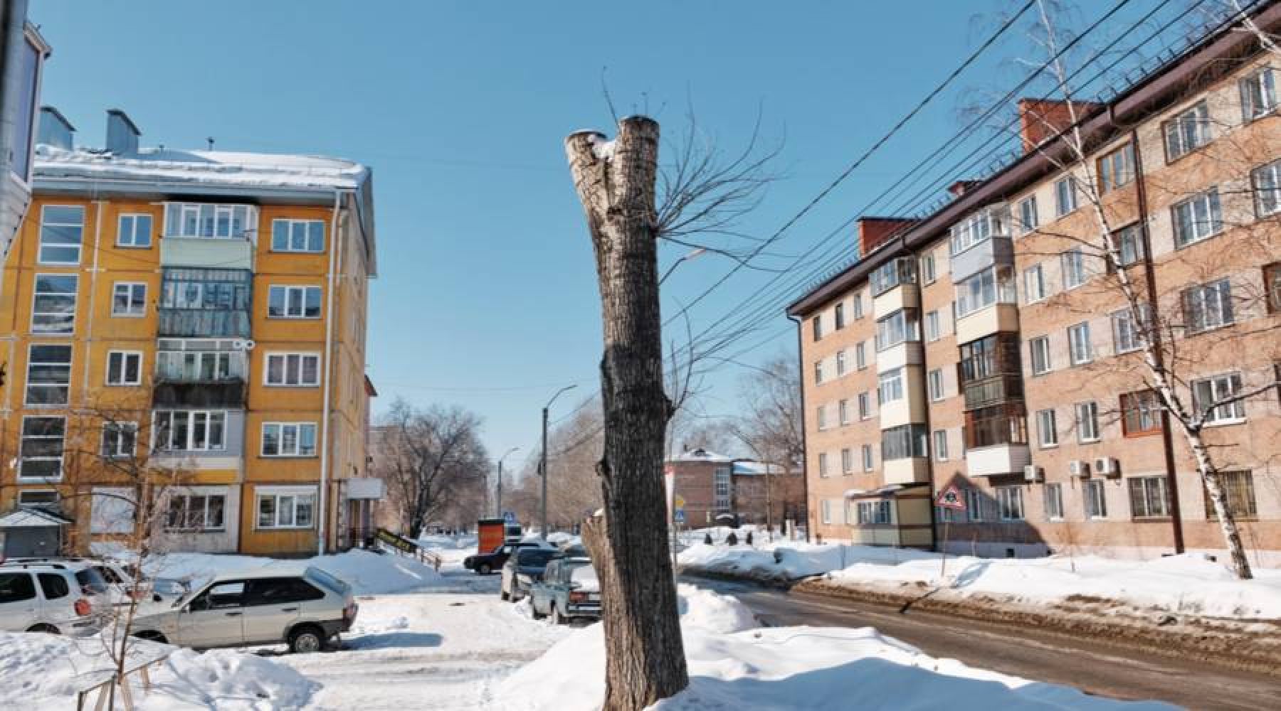 Бийский эколог Сергей Белоконь: Мы пробили очередное дно