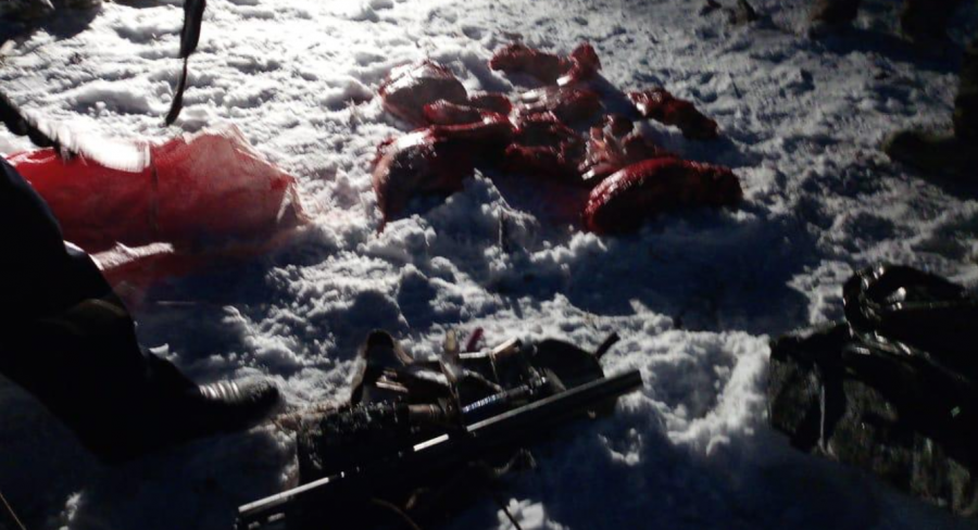 В Солонешенском районе задержали браконьера с тушей косули