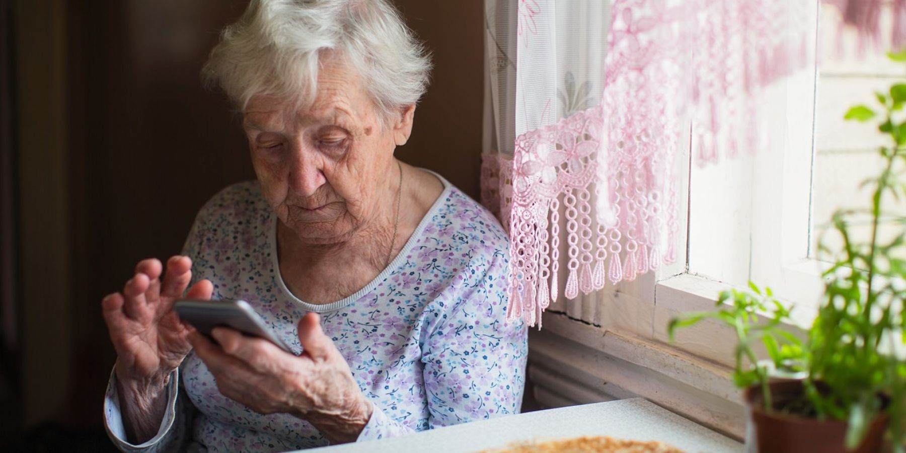 Не потерять бабушек: как в условиях пандемии живут и работают пожилые бийчане 