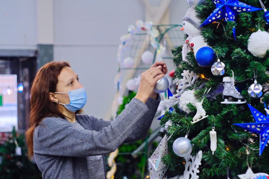 Елки и шары: во сколько жителям Алтайского края обойдется новогоднее настроение
