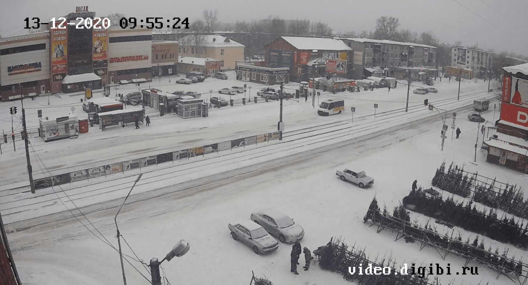 Елки по городу мчатся: в Бийске начали работать елочные базары