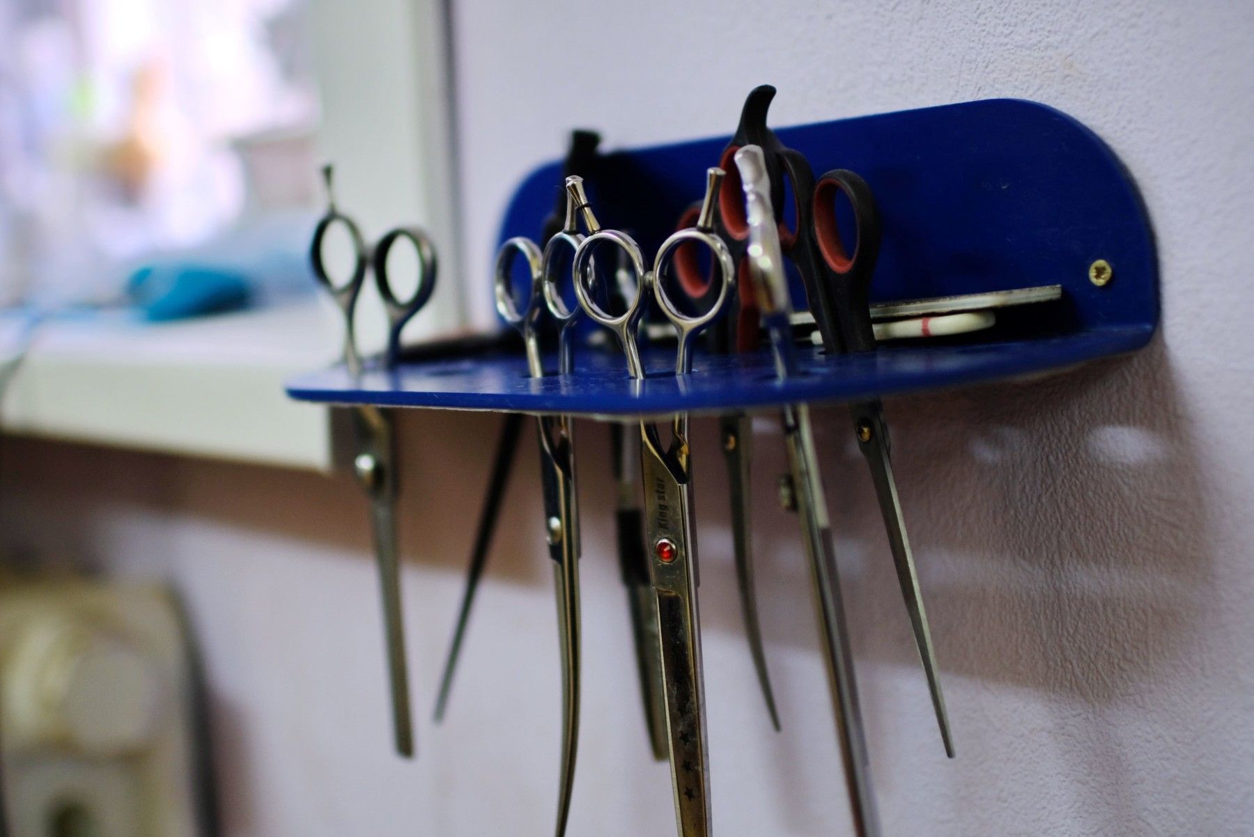 Стрижка только началась: как бийчанка совмещает несколько редких профессий