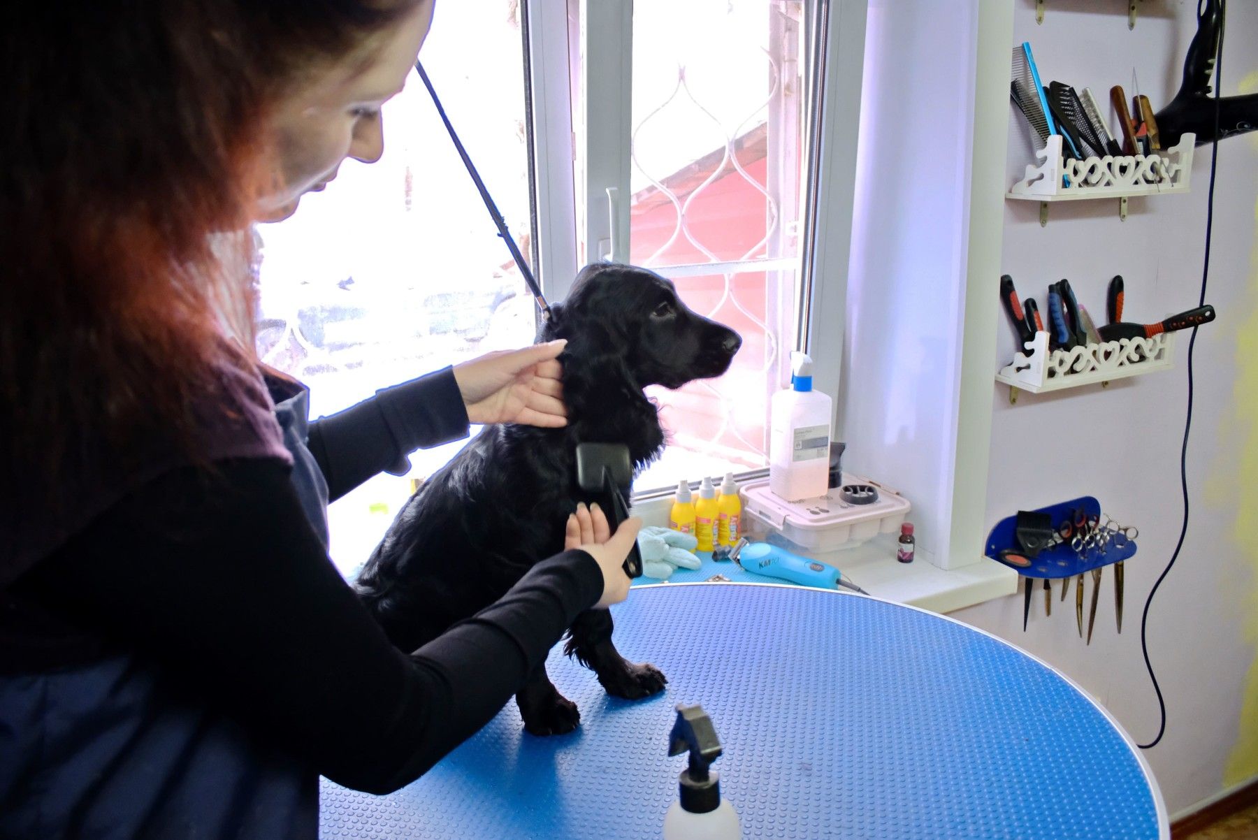 Стрижка только началась: как бийчанка совмещает несколько редких профессий