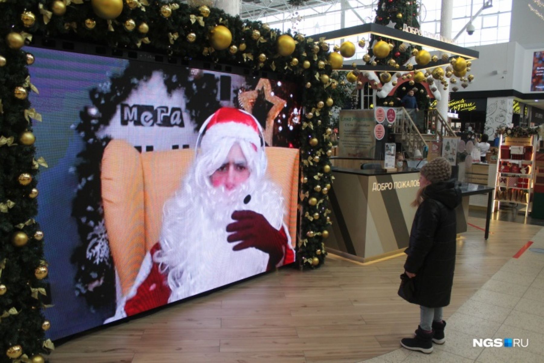 Доброе утро: позитивные предновогодние новости России и Алтая на 21 декабря