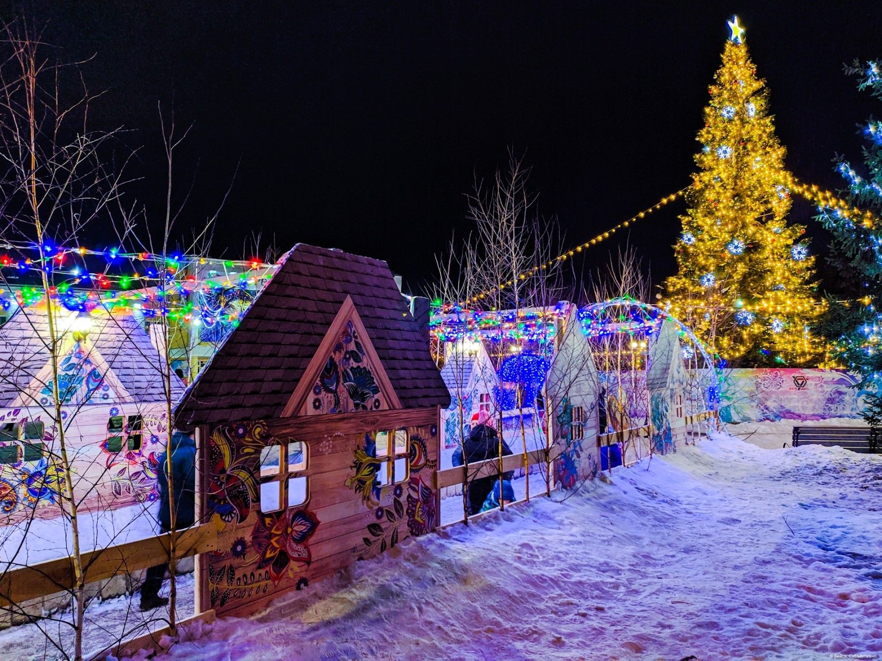 Доброе утро: позитивные предновогодние новости России и Алтая на 21 декабря