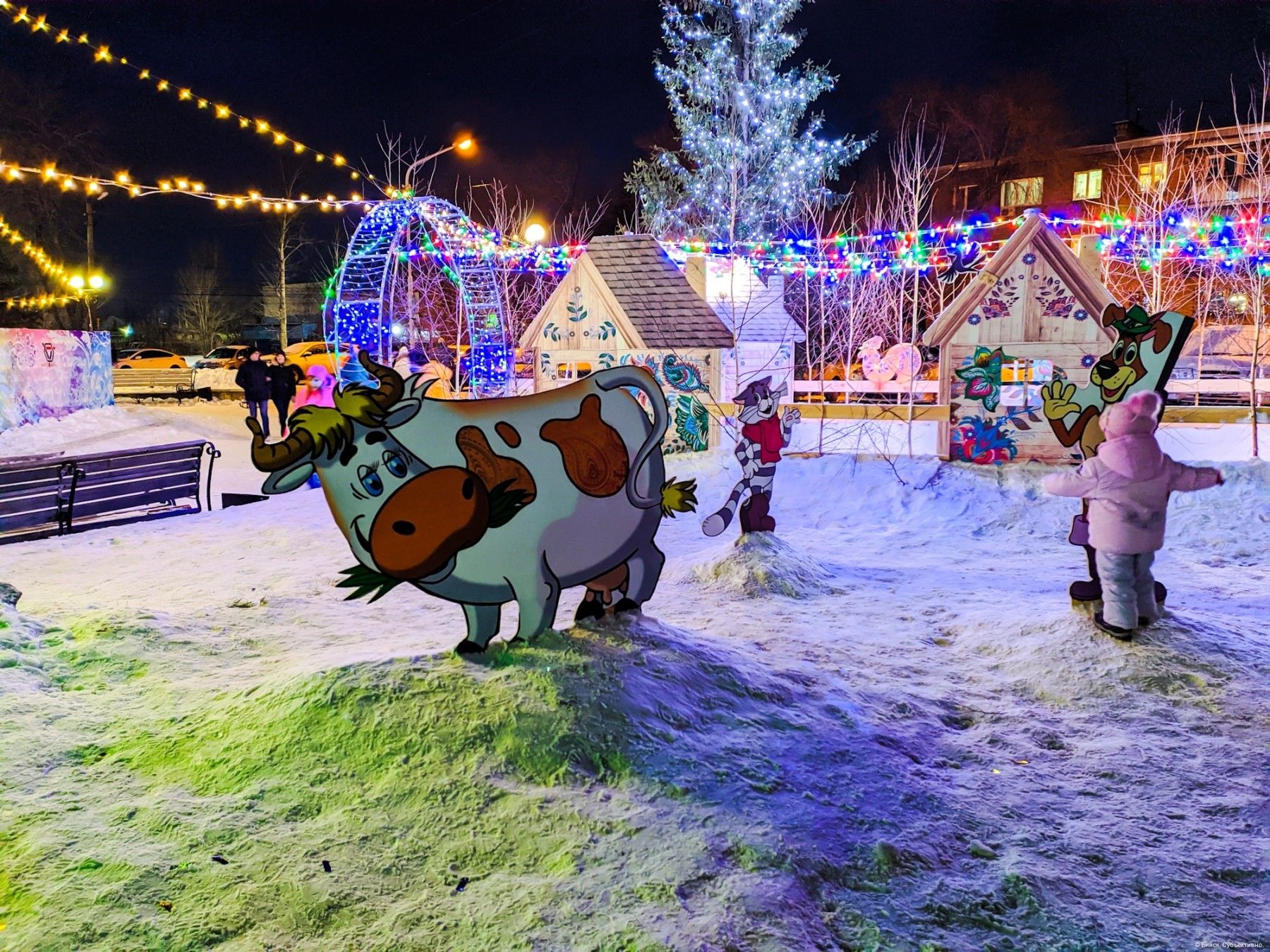 Доброе утро: позитивные предновогодние новости России и Алтая на 21 декабря