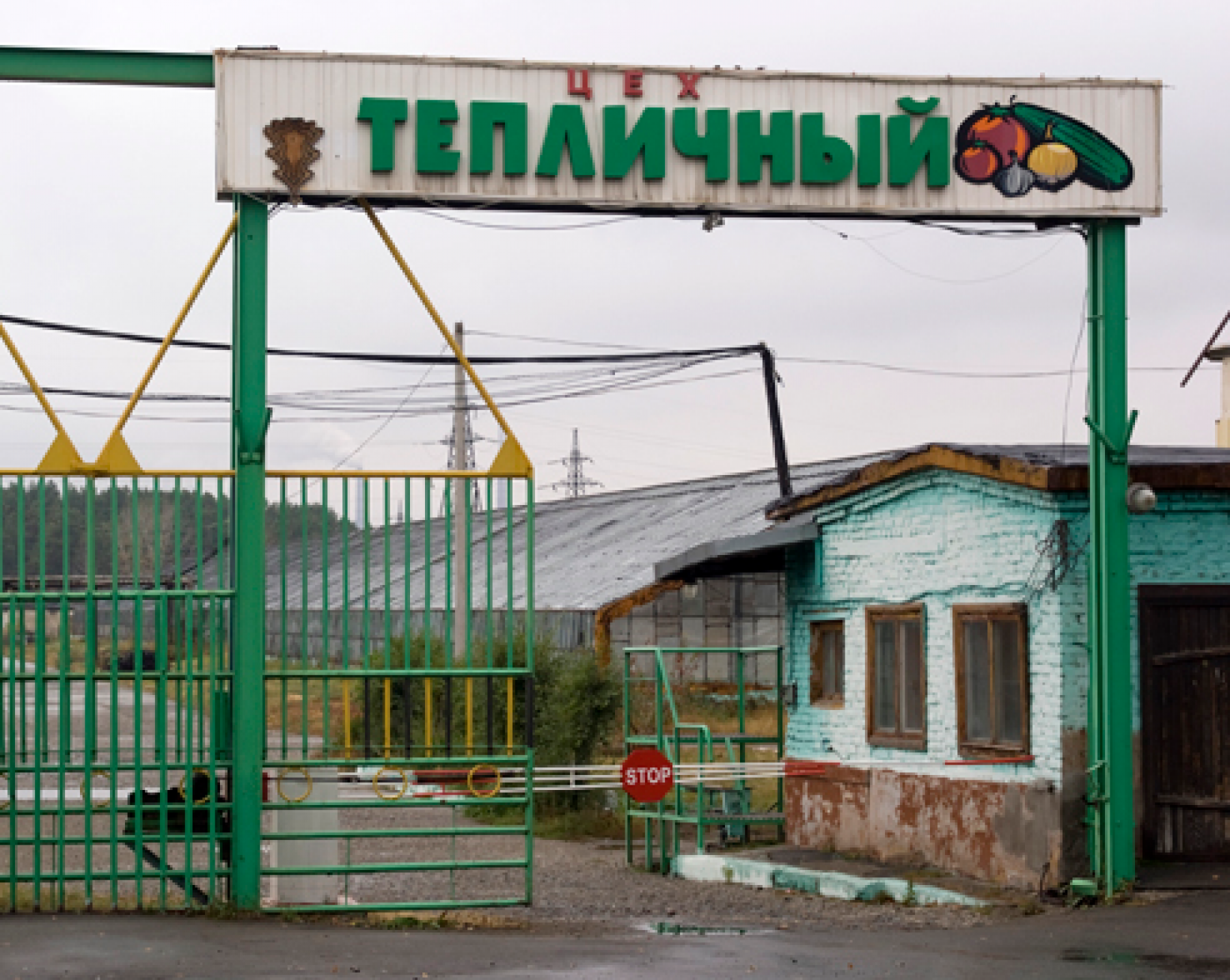 На месте бывших теплиц в Бийске все-таки разрешили строительство