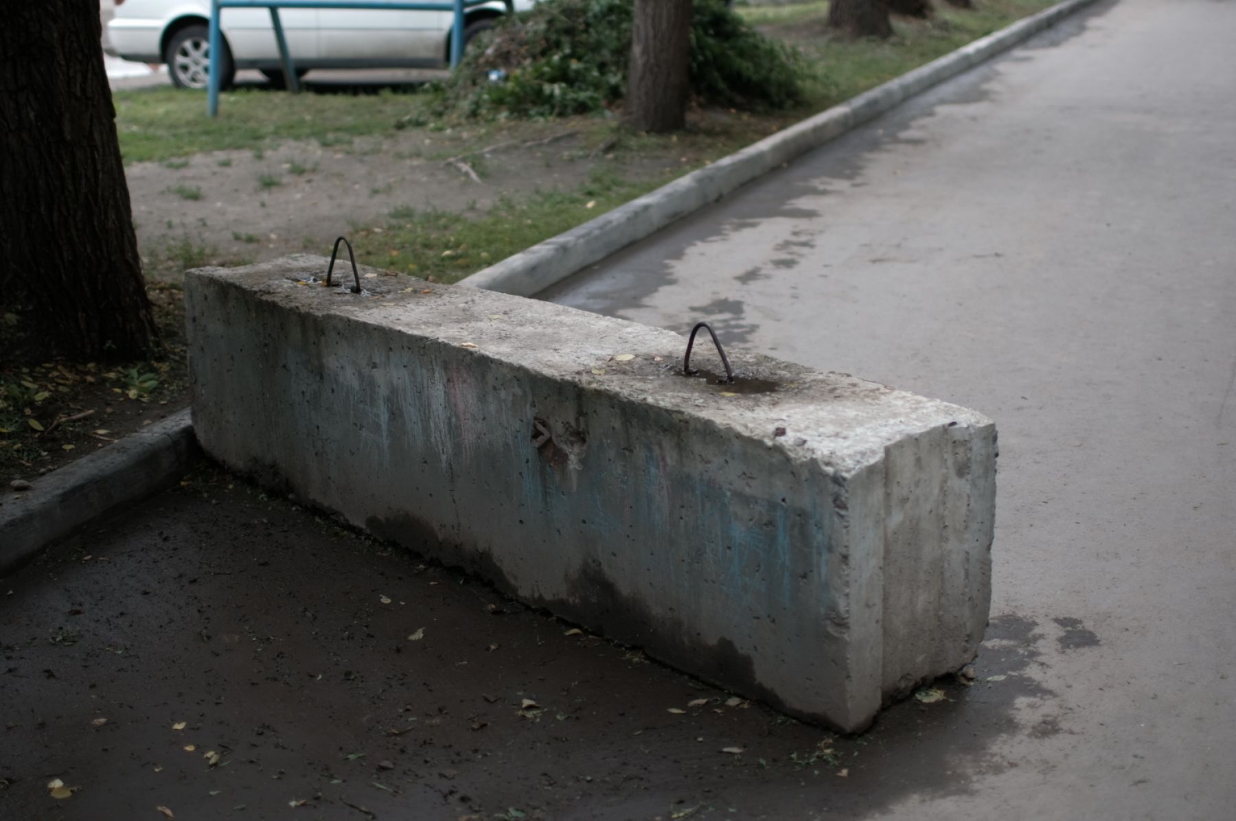 Денис Лозин: открытый огонь разводить нельзя, но жарить шашлыки можно