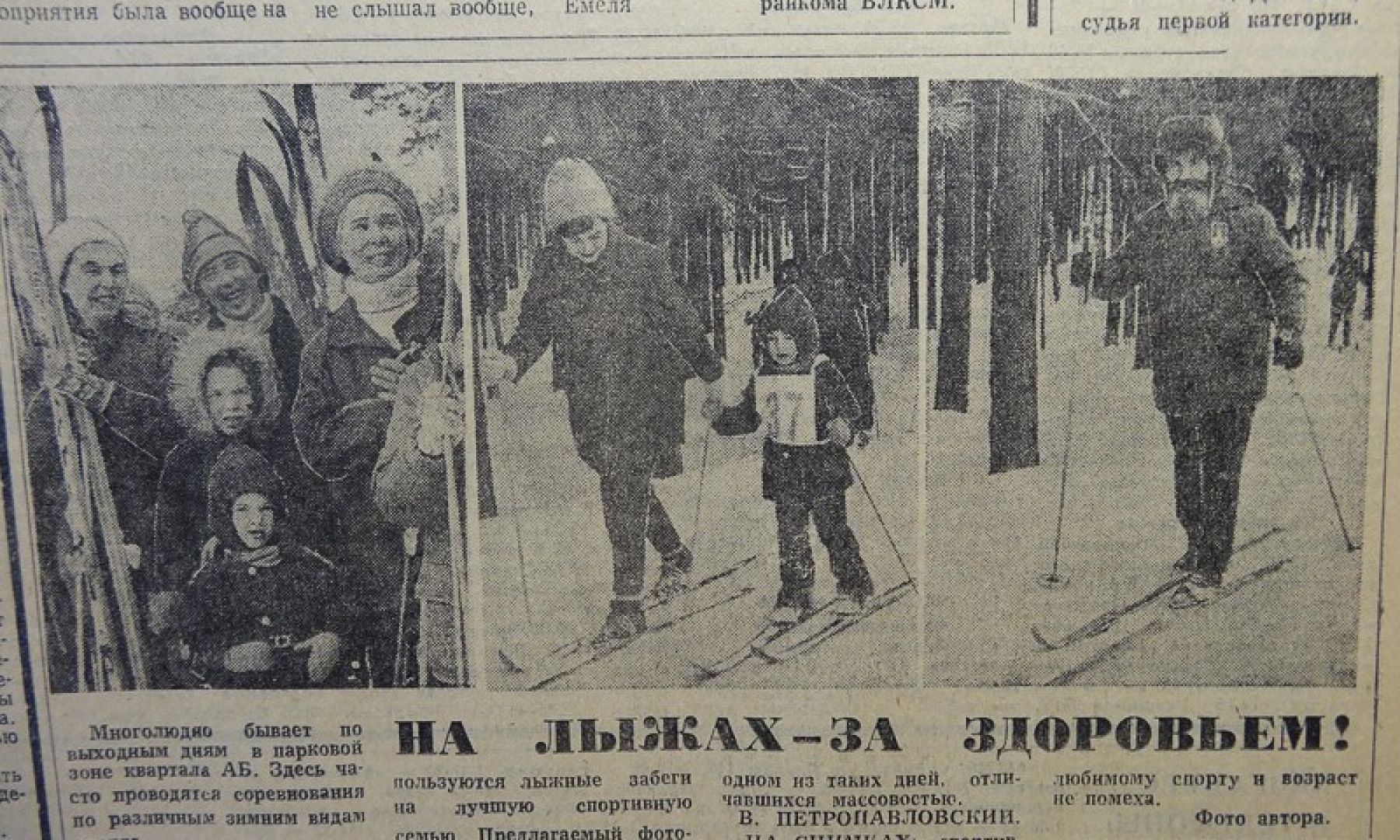 Маршрут на выходные: гуляем и занимаемся спортом в лесу на квартале АБ 