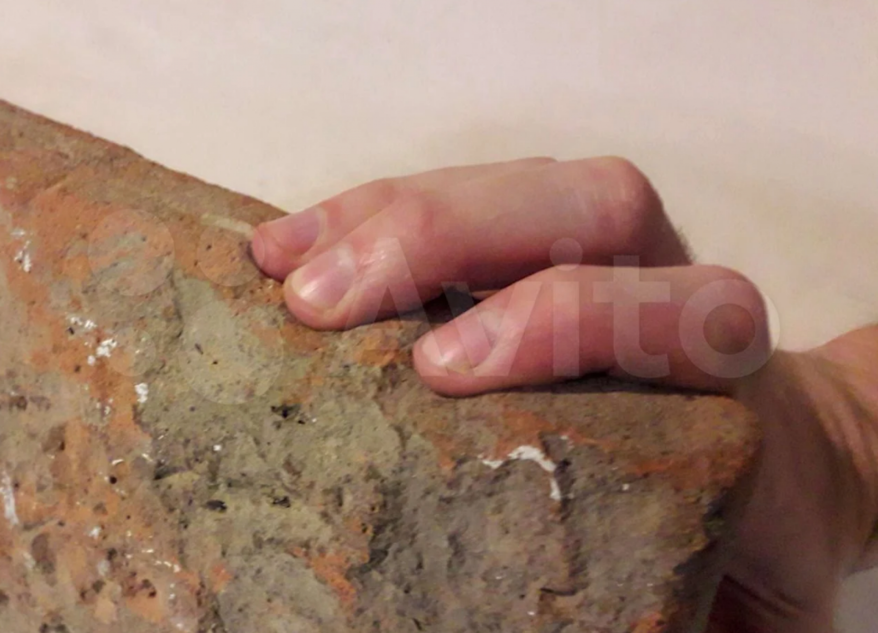 В Бийске продают императорский кирпич со следами лап котенка