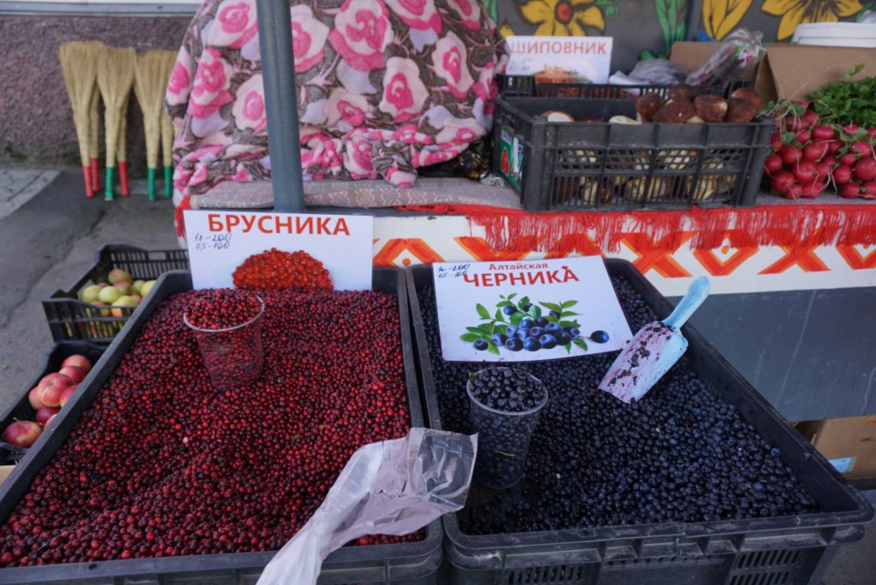 Тоска по ярмаркам: будет ли в Бийске развиваться формат рыночной торговли 