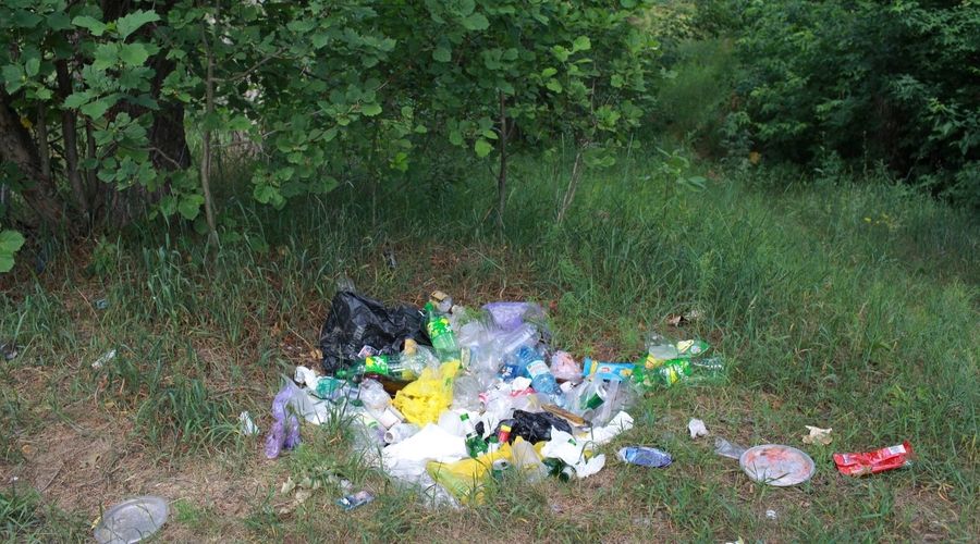 В Бийске, заваленном мусором, до сих пор не удается наладить его переработку