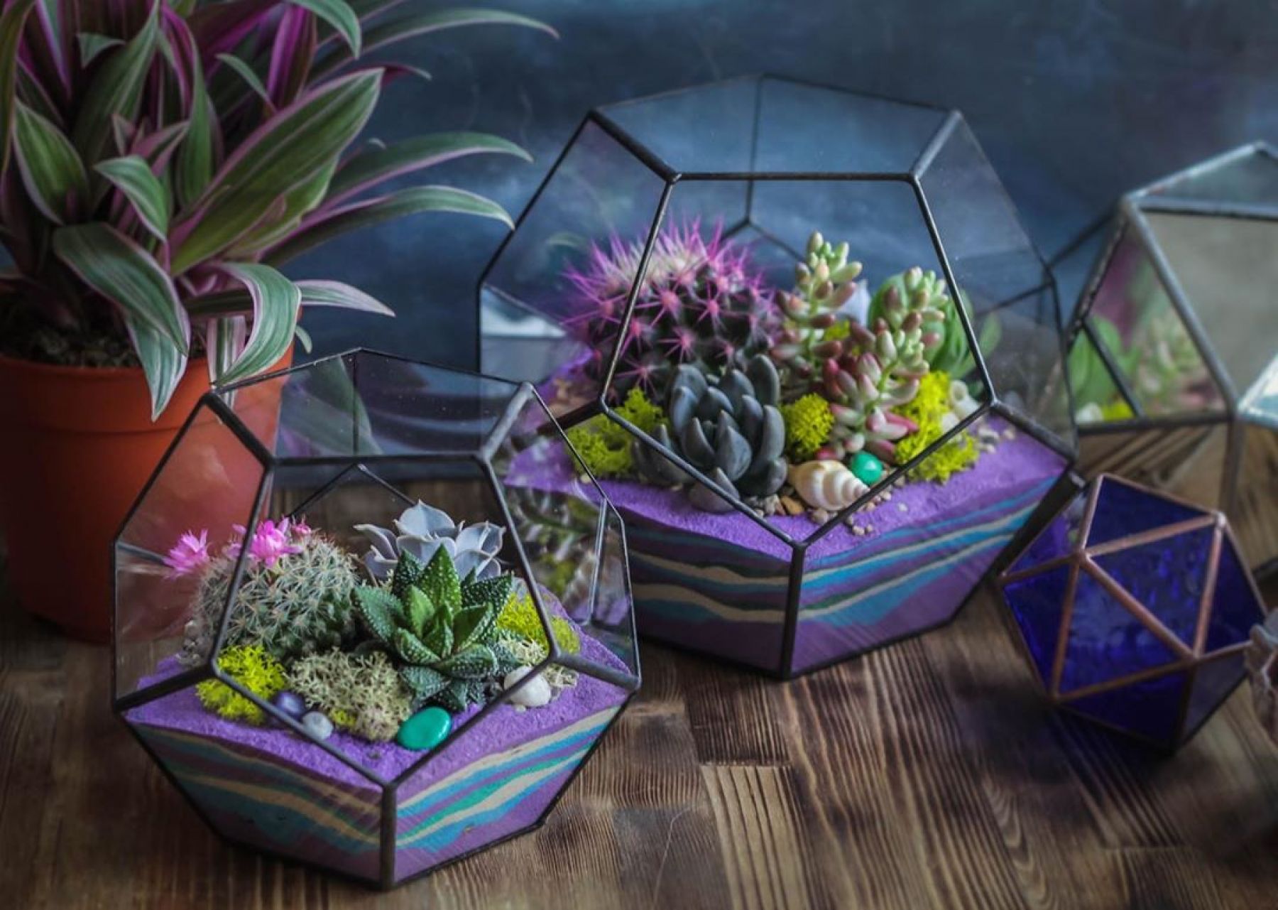 Оригинально и недорого: что подарить на 8 марта маме, жене, коллеге, подруге