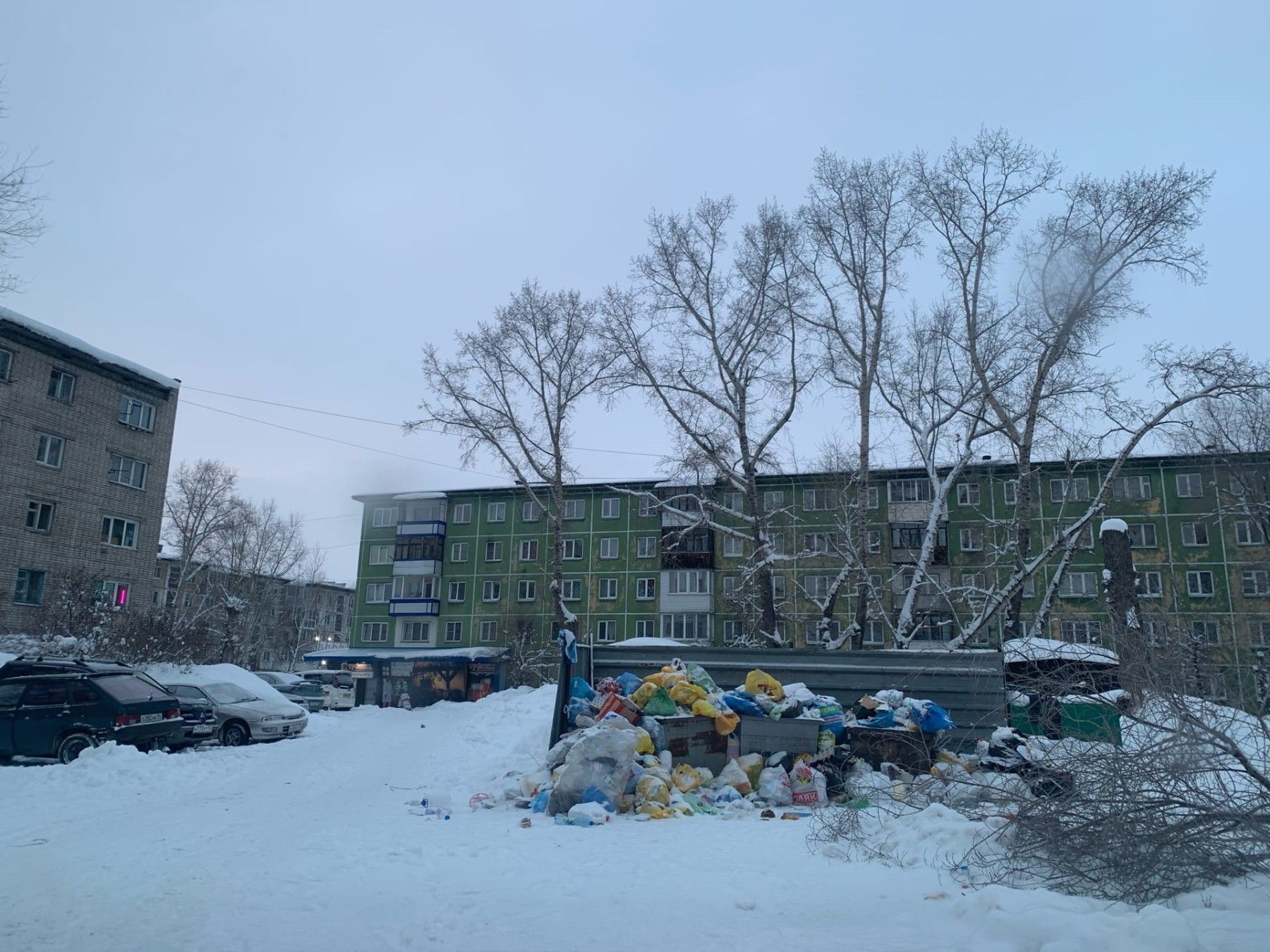 В некоторых дворах Бийска уже несколько дней не вывозят мусор