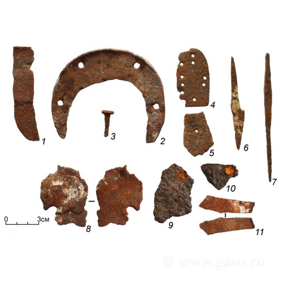 Алтайские археологи рассказали о редкой находке, найденной у села Купчегень