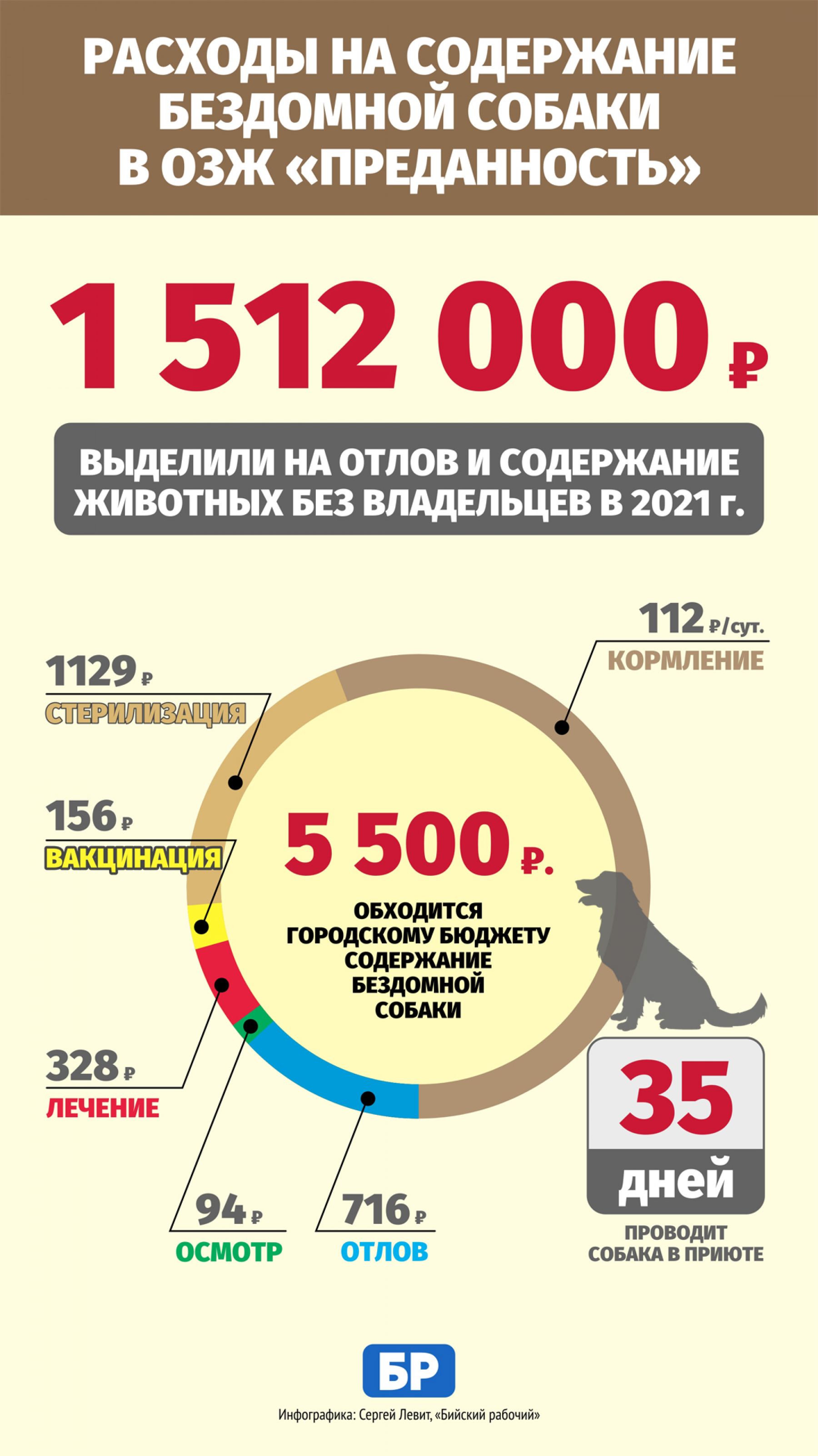 В Бийске ежегодно тратится около 1,5 млн на решение проблемы бродячих собак