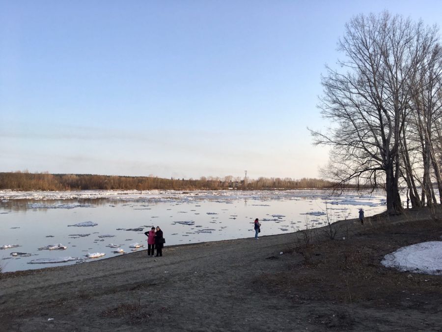 Треск и журчание воды: на Бии в районе Бийска начался ледоход
