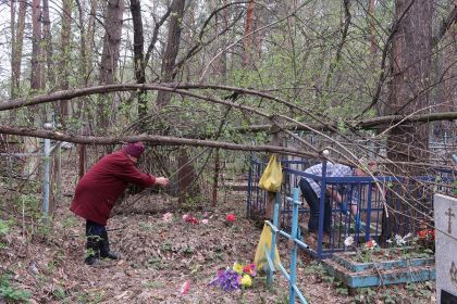 Покрашено или окрашено на скамейке