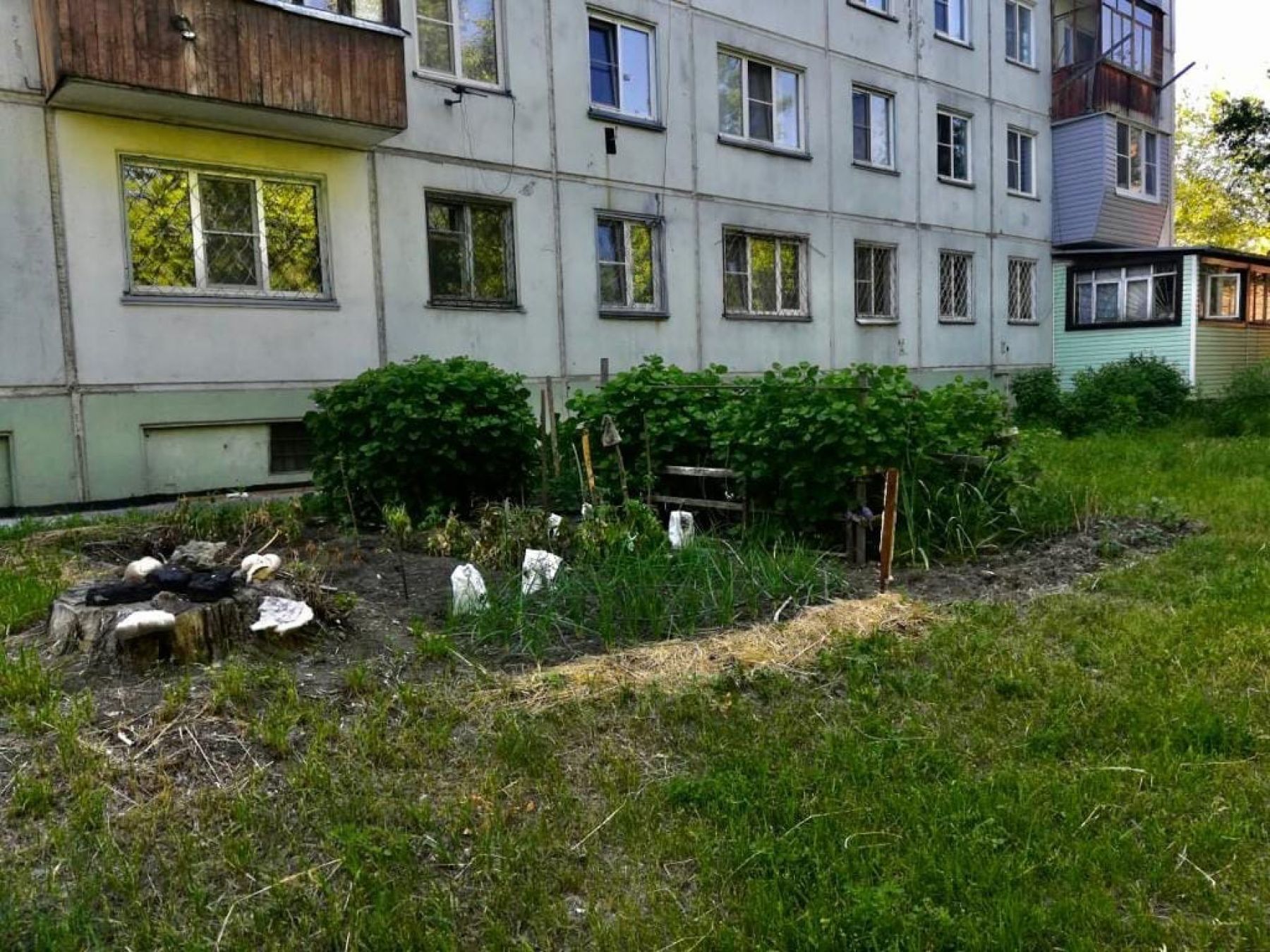 Место для творчества и огорода: как бийчане распоряжаются придомовой территорией