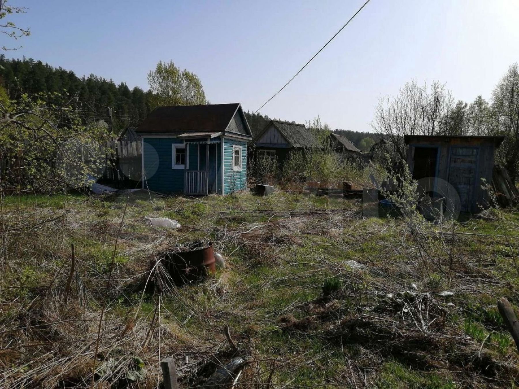 Дешево и сердито: какую дачу в Бийске можно купить в разгар сезона