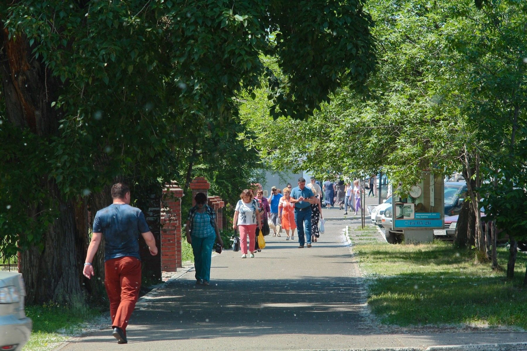 Люди, город, пешеходы, Детский мир