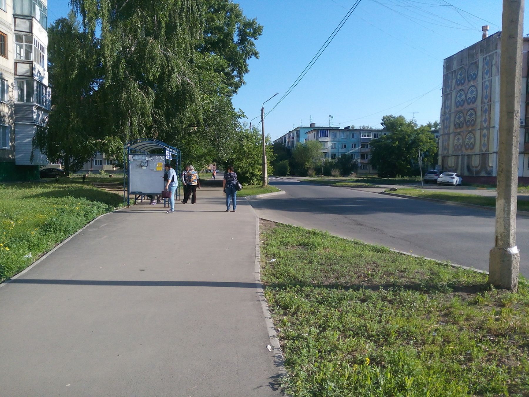 Из кустов: жители района Треста рискуют здоровьем, чтобы попасть в автобус 