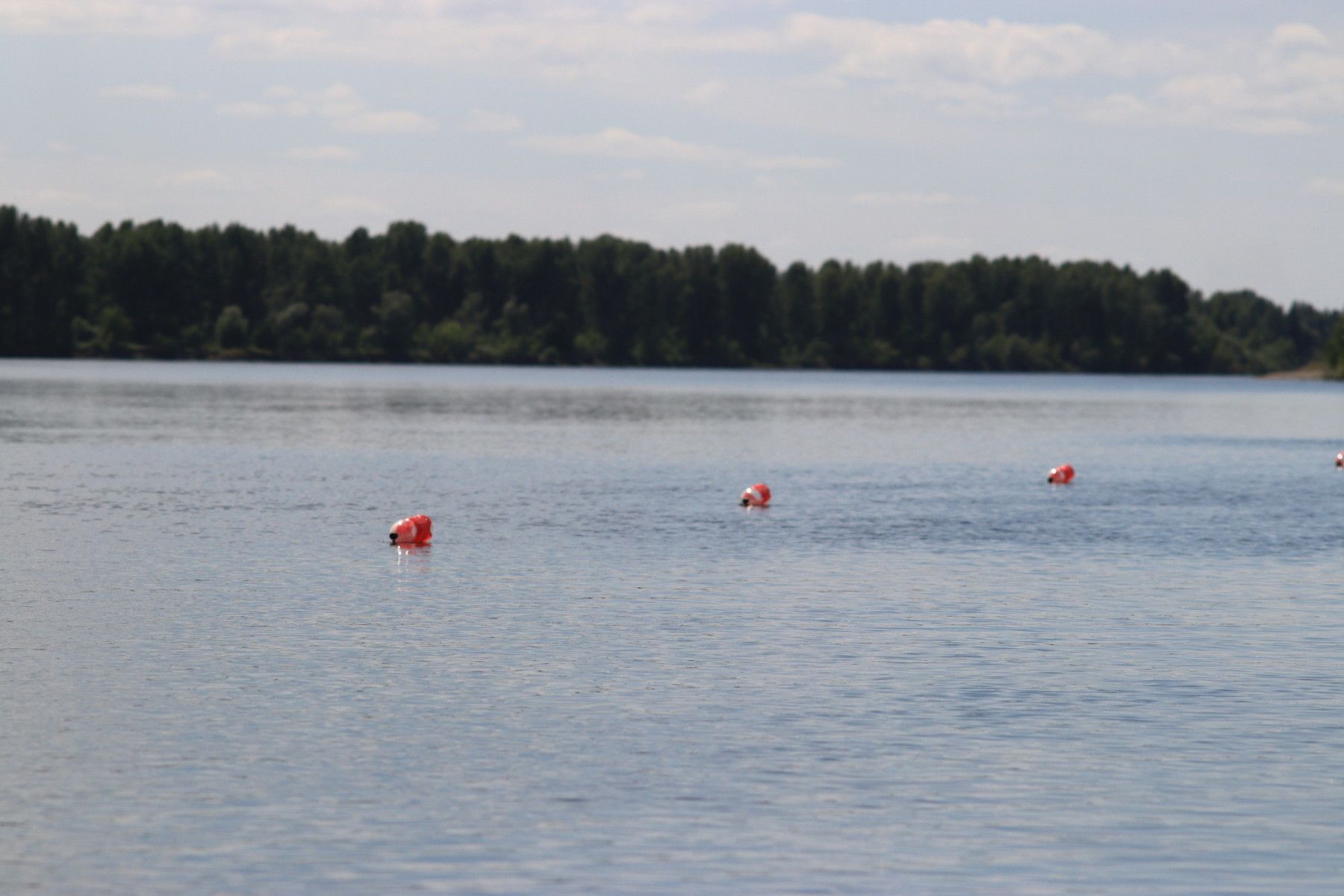Центральный пляж у коммунального моста в Бийске стал намного чище