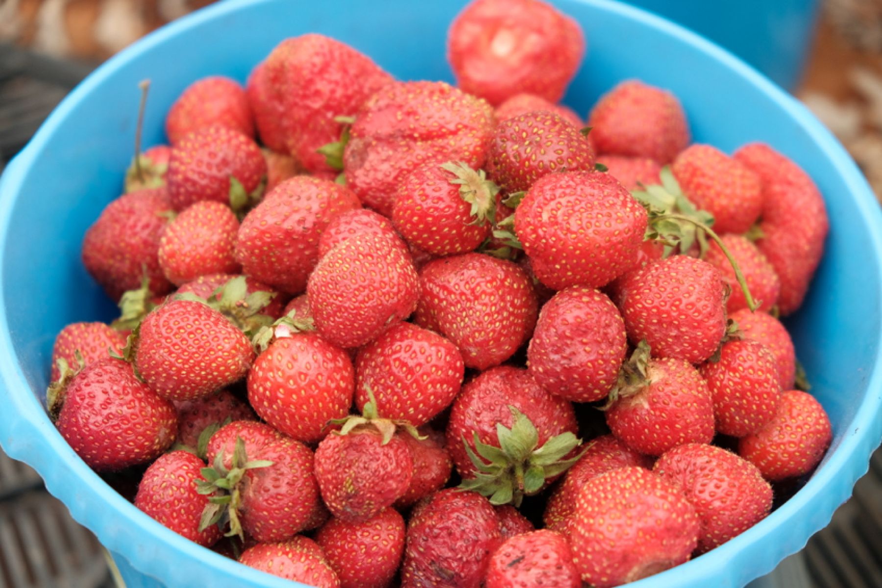 Рынок. Клубника.