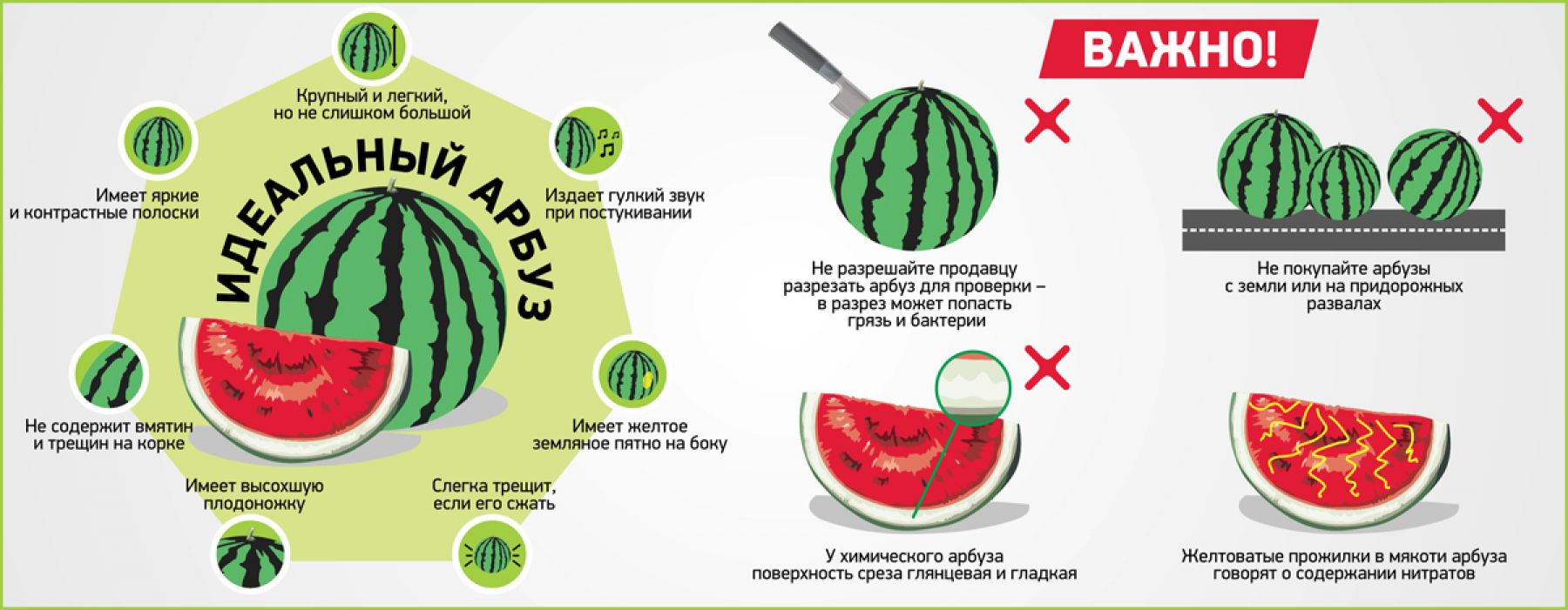 Спелые и сладкие: как правильно выбирать арбузы и дыни