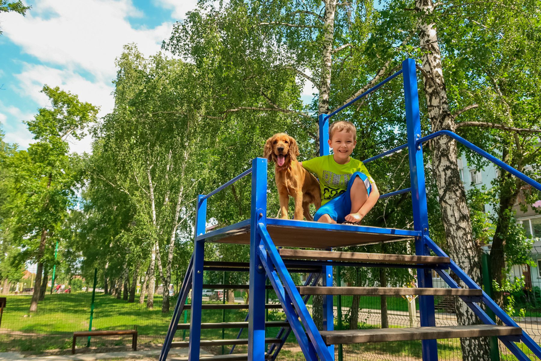 Единственная в городе «собачья» площадка мешает жильцам близлежащих домов