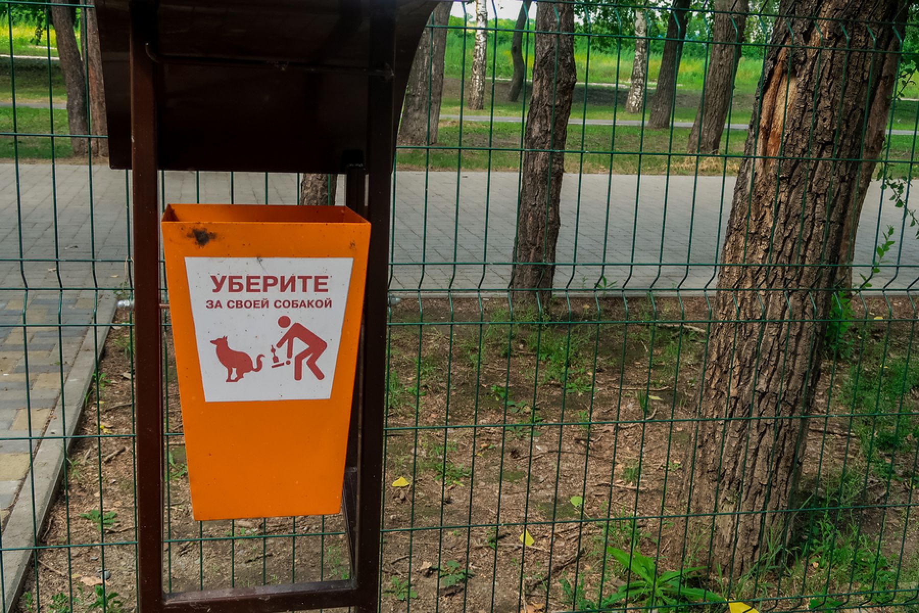 Единственная в городе «собачья» площадка мешает жильцам близлежащих домов