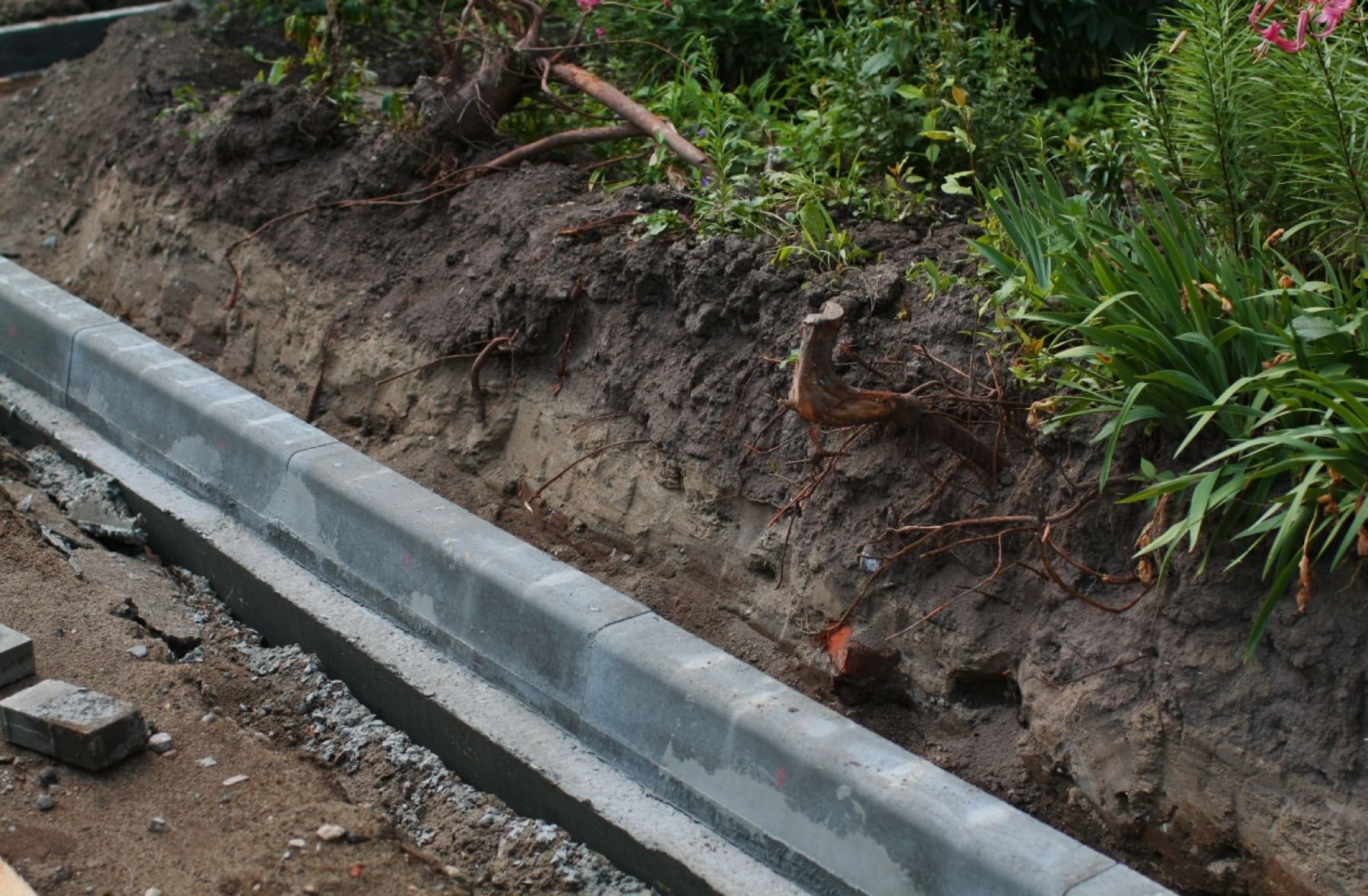 Бийчане просят при ремонте дворов обратить внимание на дорожки и клумбы