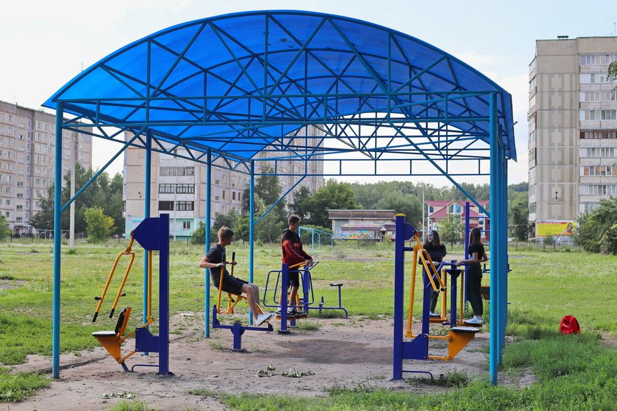 В Бийске более 30 воркаут площадок используют не спортсмены, а дети