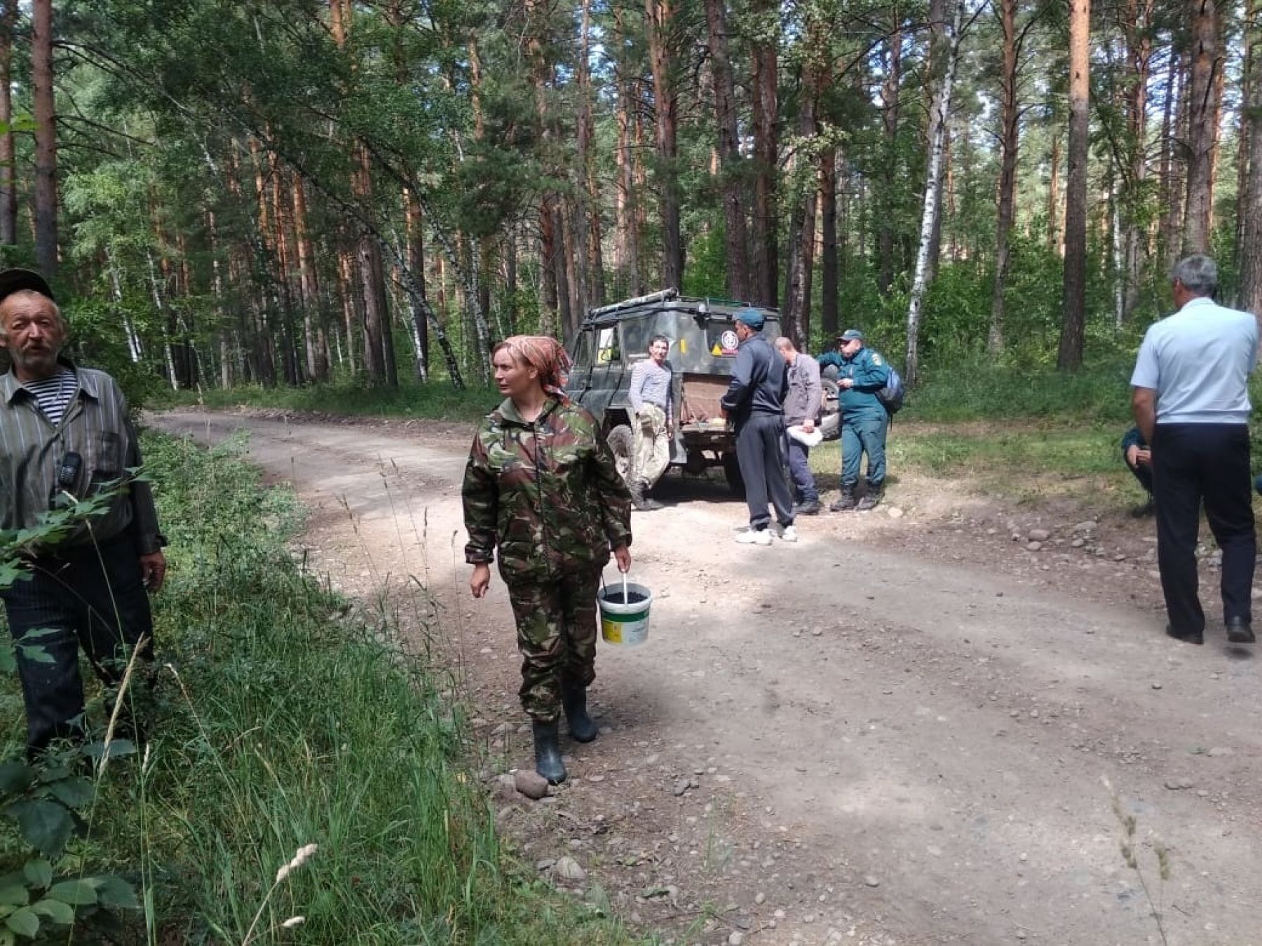 Искали с собаками: в Бийском районе потерялась женщина, ушедшая за ягодами