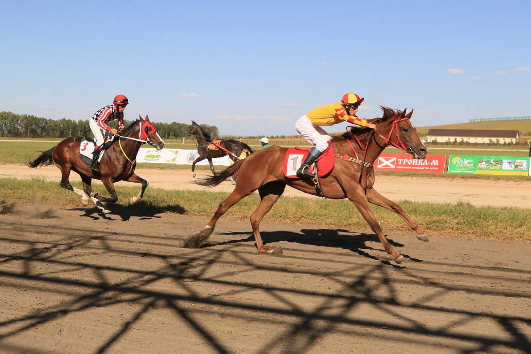 Лучшие лошади Сибири стали участниками скачек «Большого Сибирского круга»