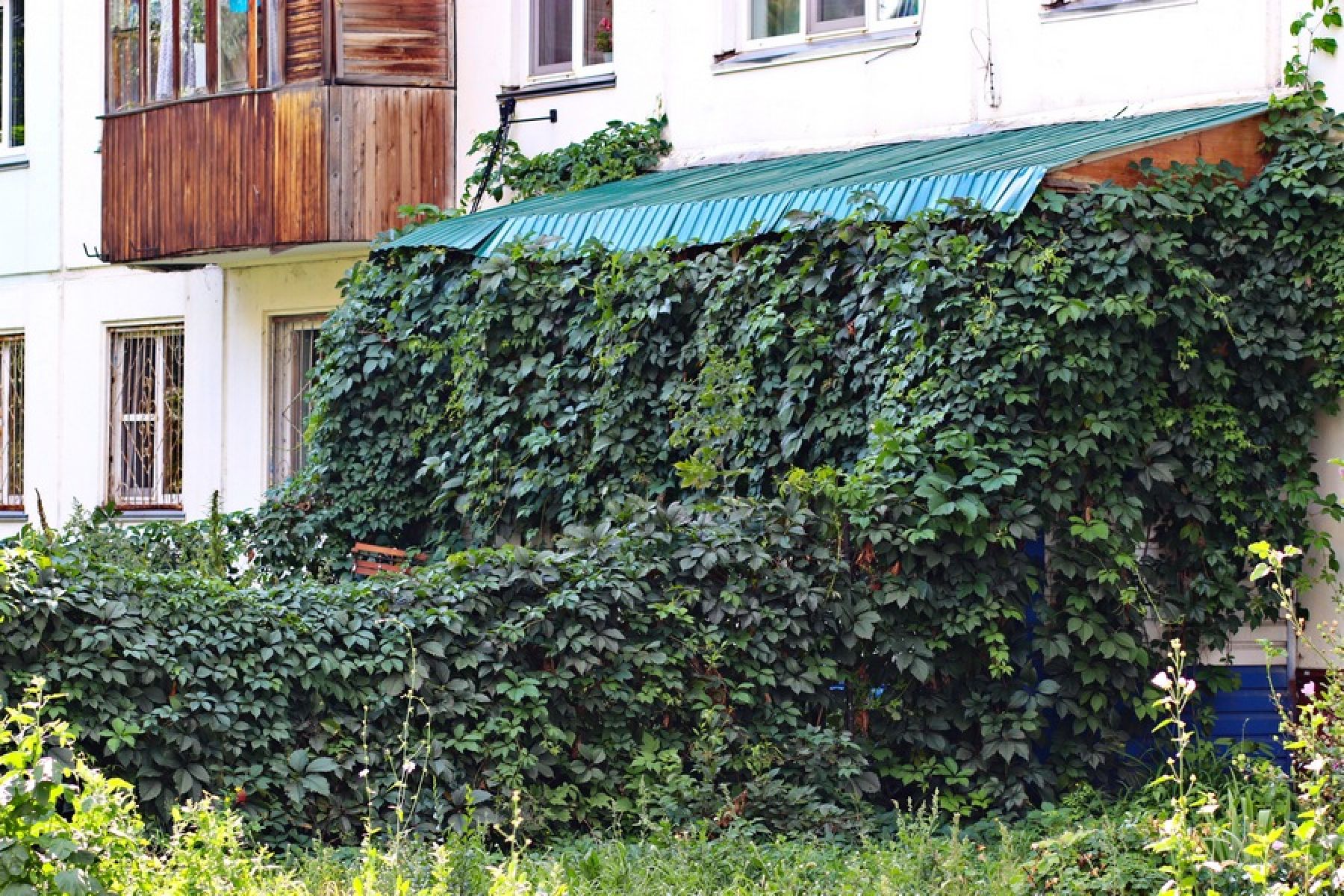 Плюс квадратные метры: зачем бийчане пристраивают балконы