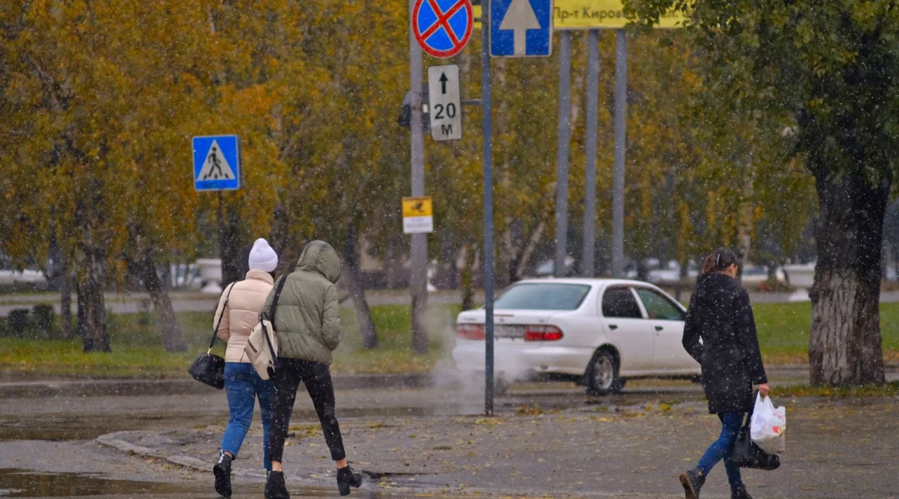 Осень в Бийске. Дождь с мокрым снегом