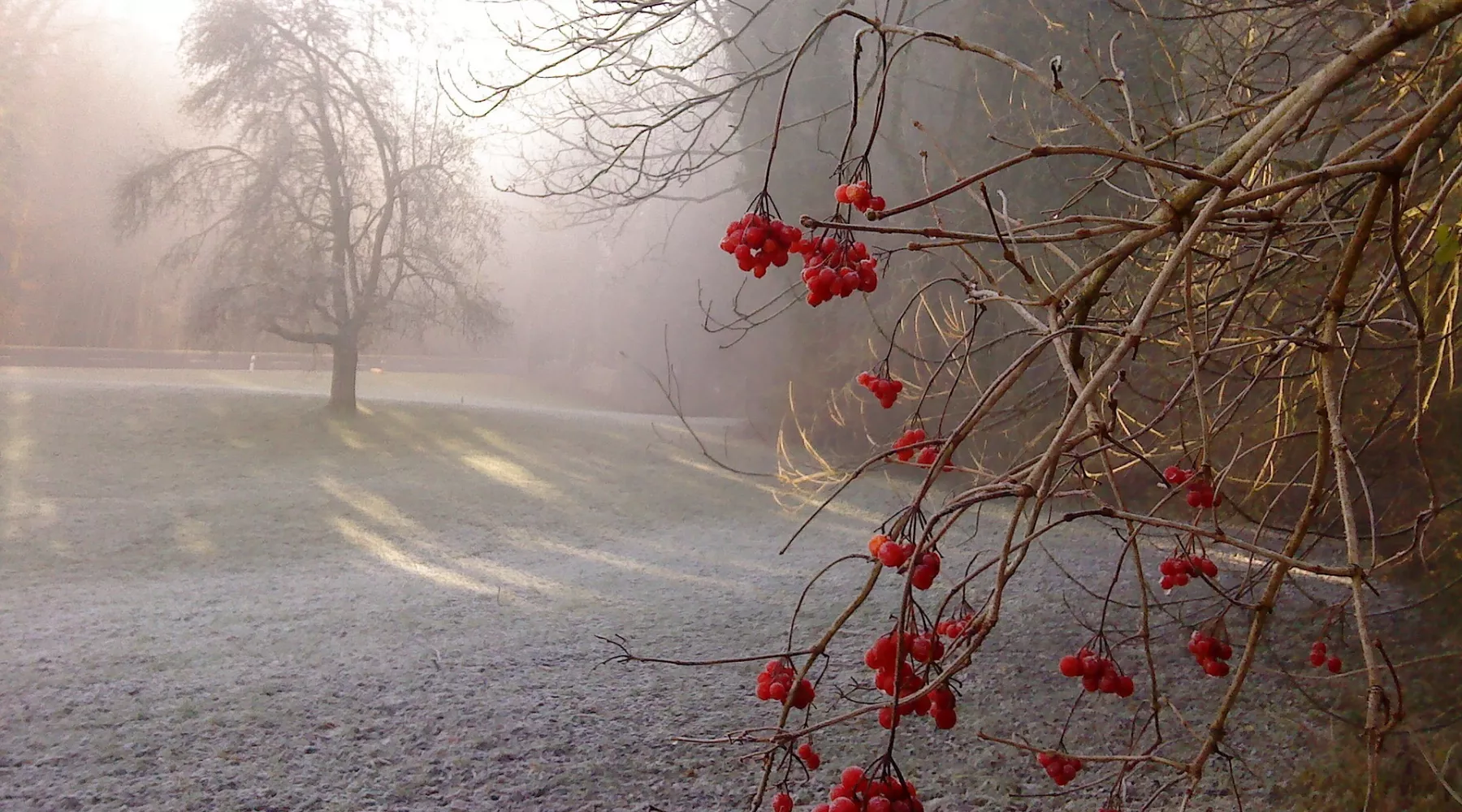 Осень. Заморозки. Первые морозы