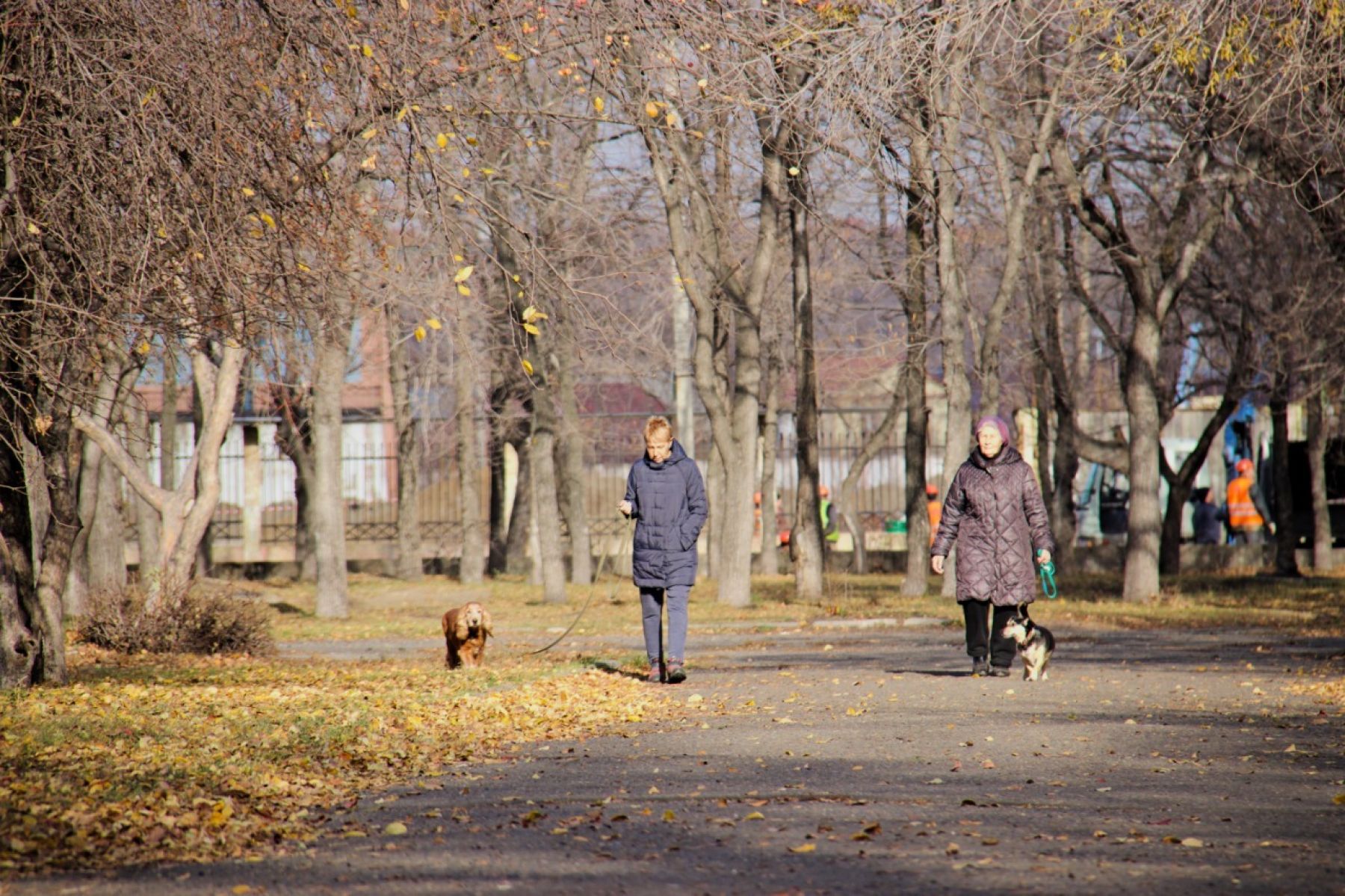 Парк у ГДК. Осень