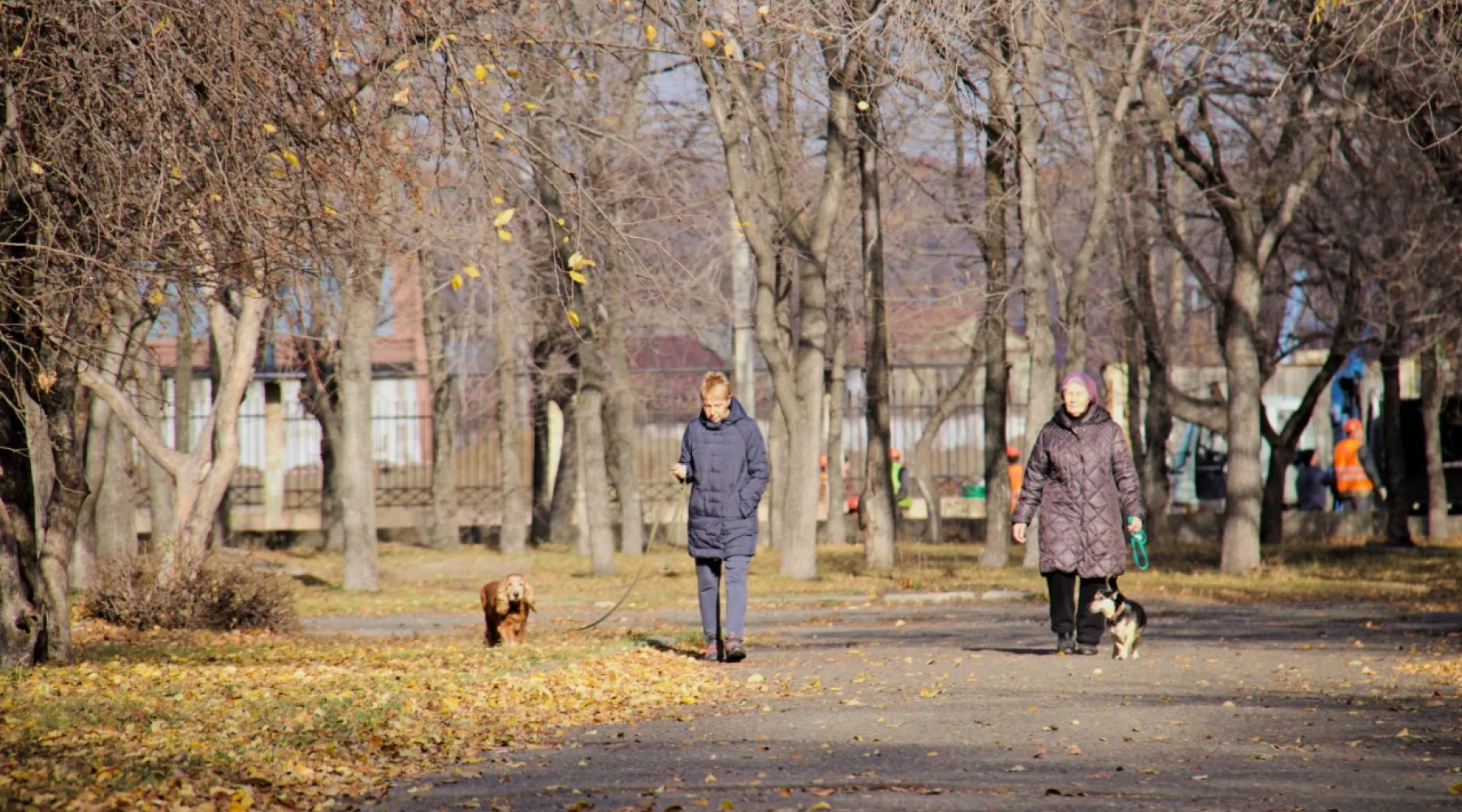 Парк у ГДК. Осень