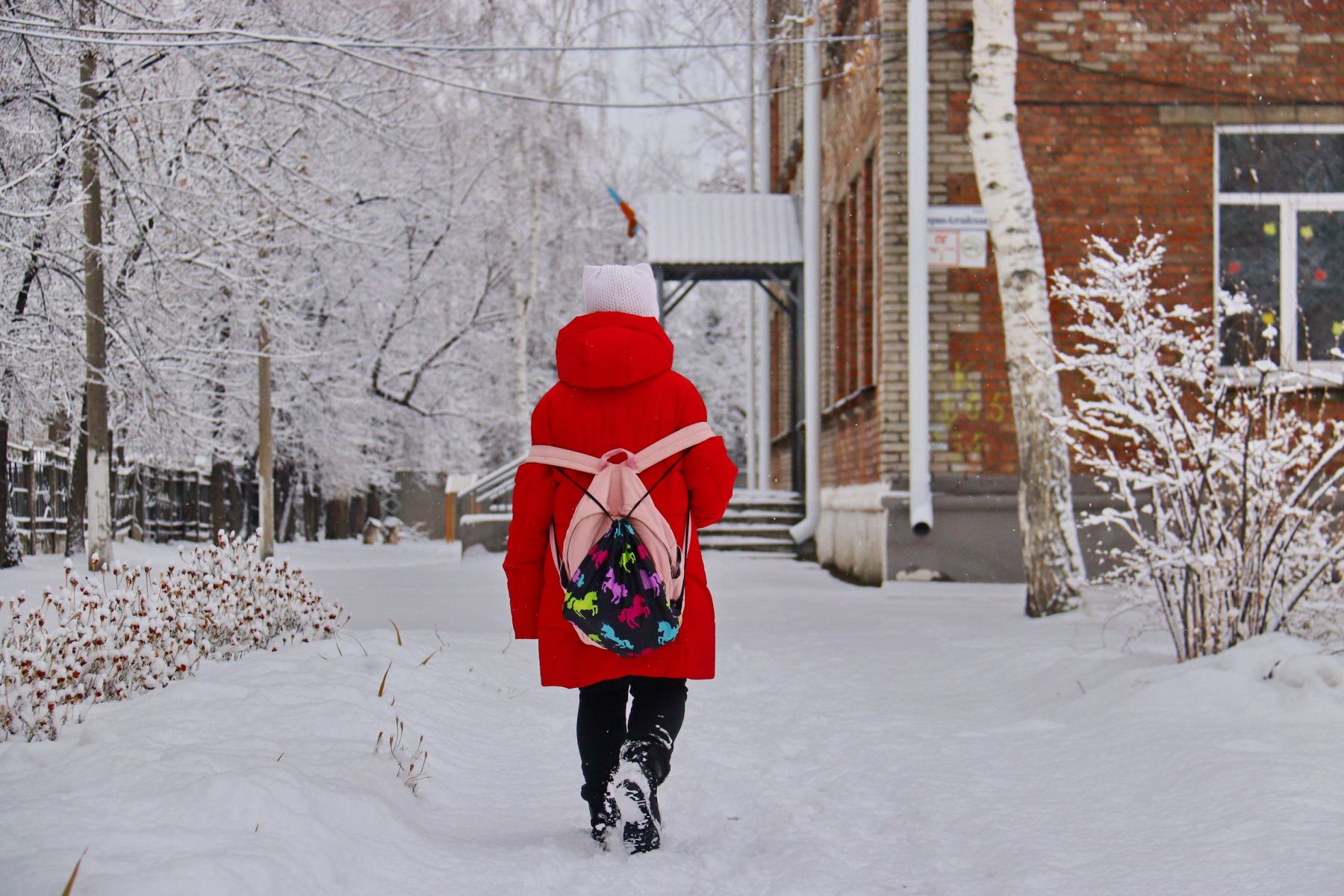 Зима вступила в права