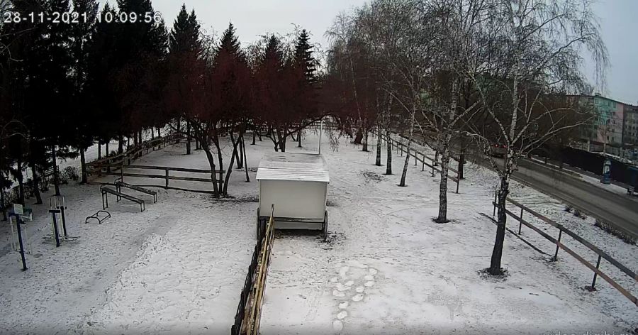 В Бийске начали работы по созданию катка на Петровском бульваре