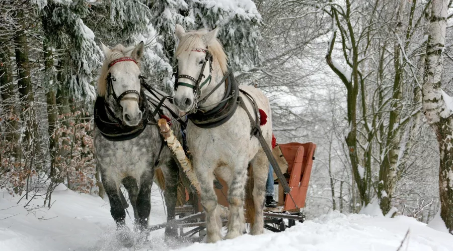 Русская зима. Тройка лошадей