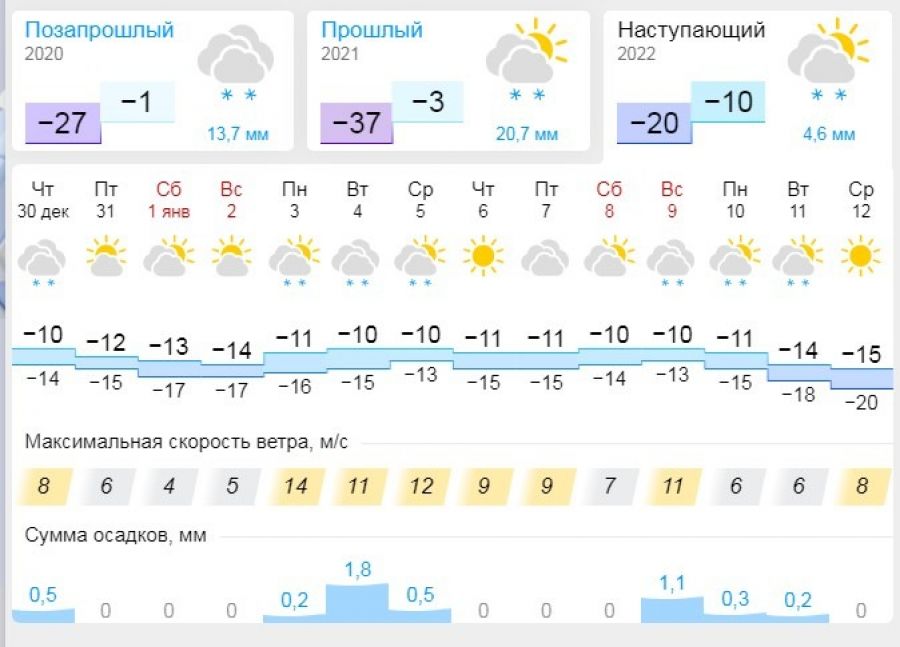 Предварительный прогноз погоды на новогоднюю ночь в Бийске