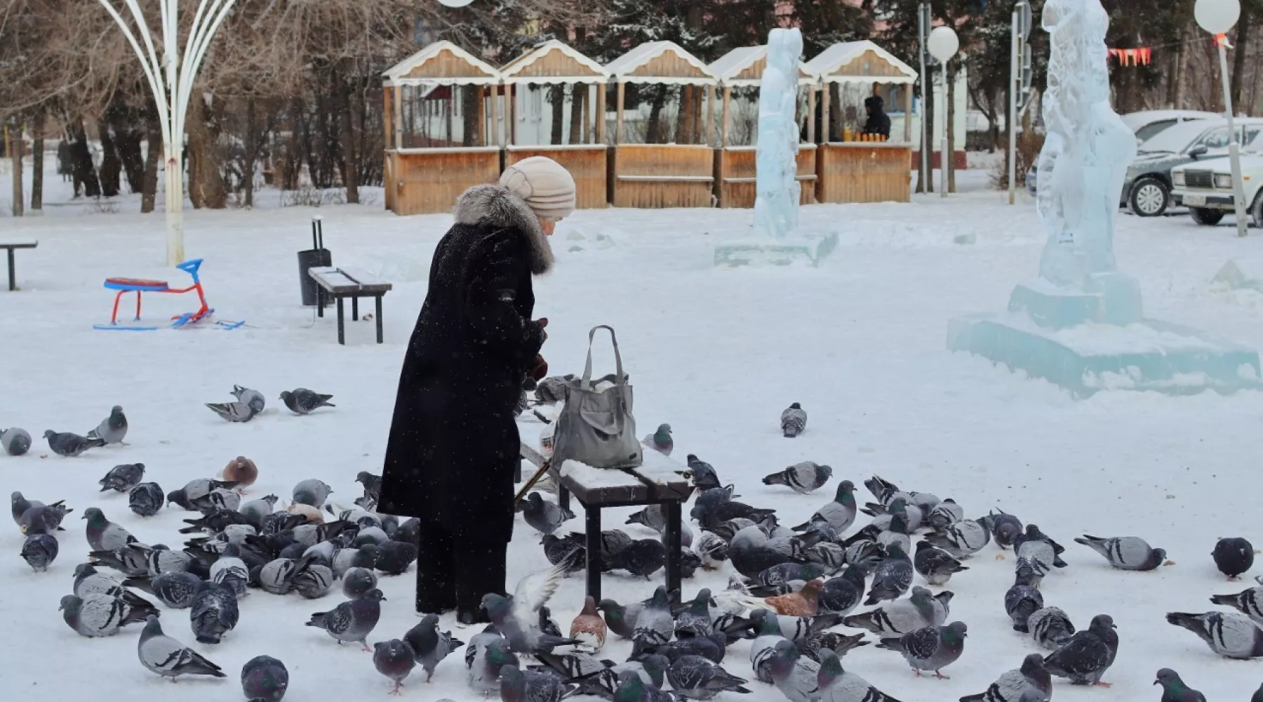 Квартал АБ. Голуби. Зима