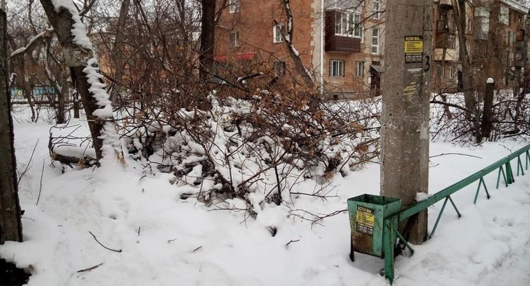 Поваленные деревья летом мешали ухаживать за клумбами