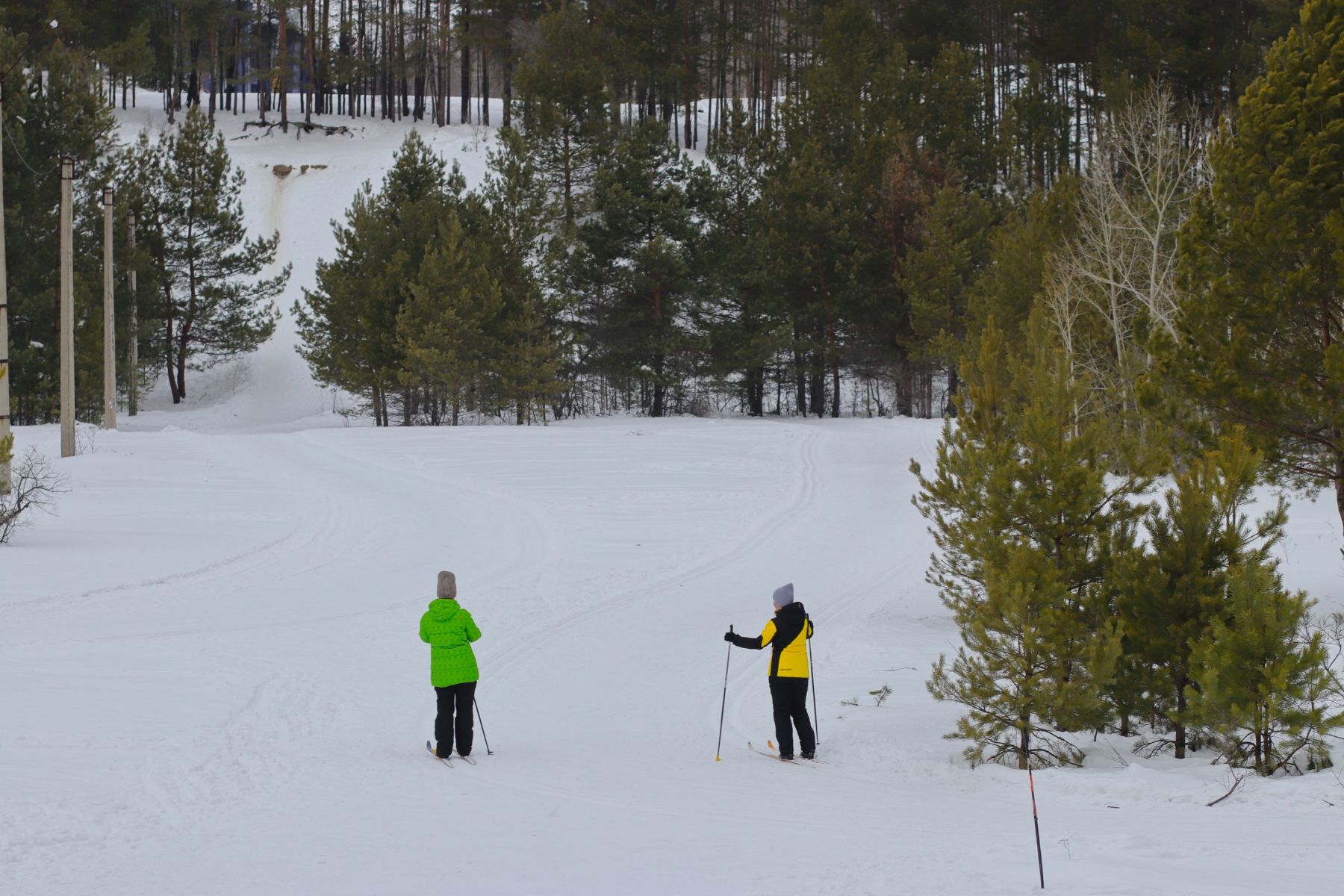 Зима. Лес на АБ. Катание на лыжах