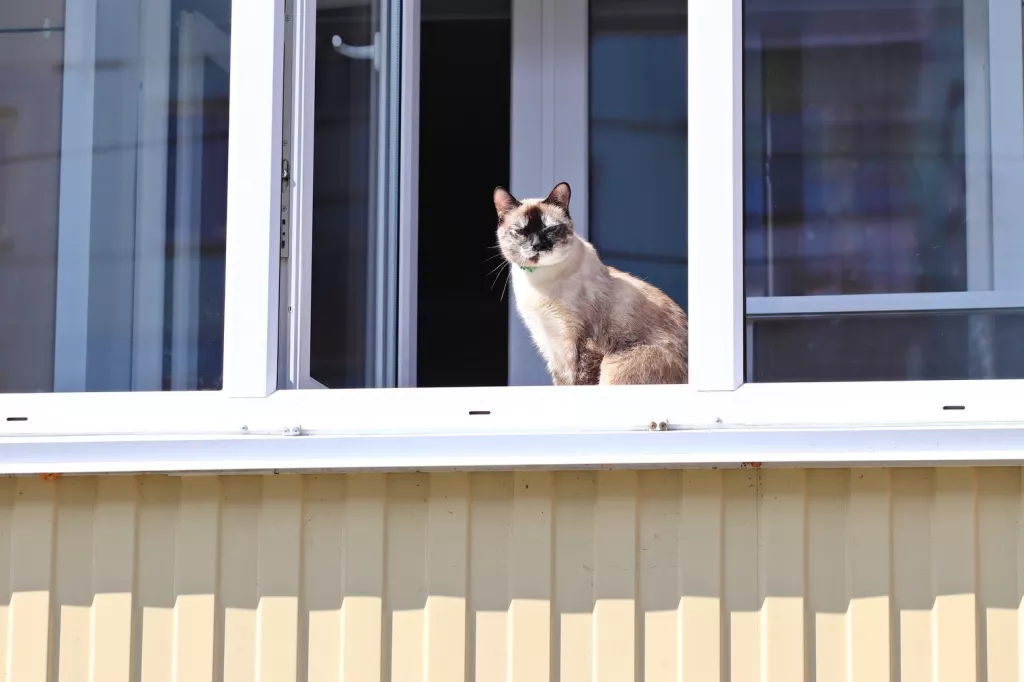 Утром +2, днем до +7, облачно: погода в Бийске 3 апреля - Информационный портал "Бийский рабочий", 03.04.2026