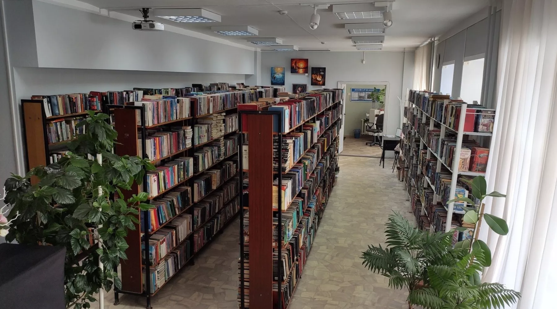 Библиотека